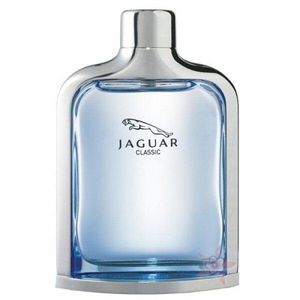Jaguar Classic EDT 100 ml Erkek Parfümü kullananlar yorumlar